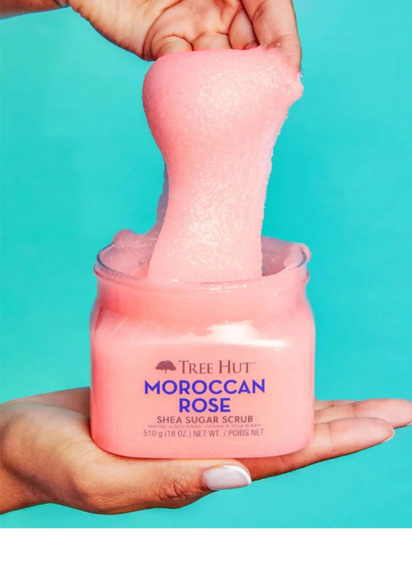 Tree Hut Shea Sugar Scrub Moroccan Rose 18Oz Treasure Box Fze LLC