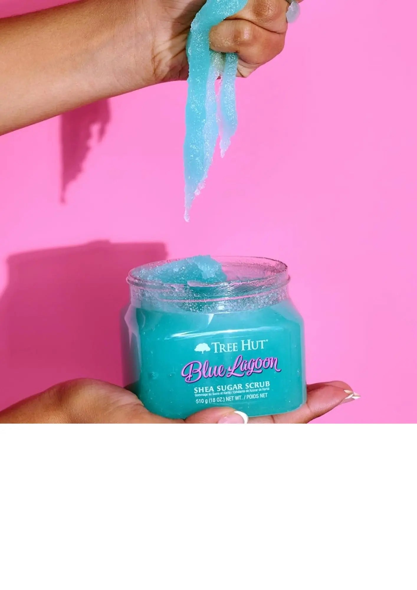 Tree Hut Body Scrub Blue Lagoon with Shea Butter, 18oz Treasure Box Fze LLC