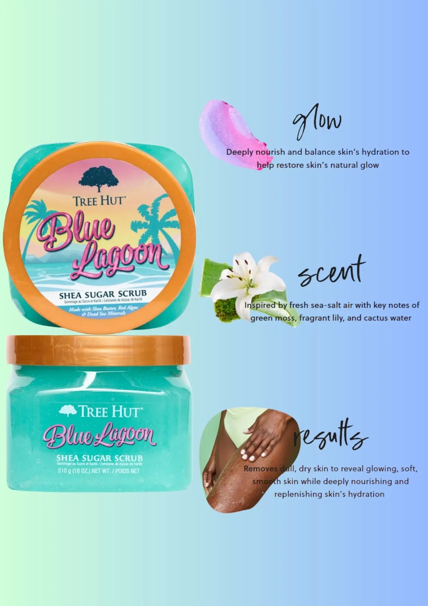 Tree Hut Body Scrub Blue Lagoon with Shea Butter, 18oz Treasure Box Fze LLC