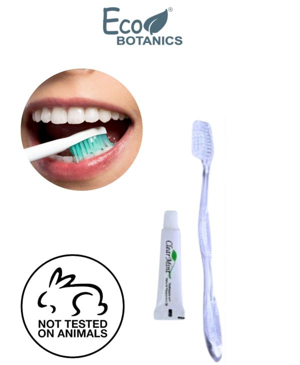 eco botanics bulk dental kit